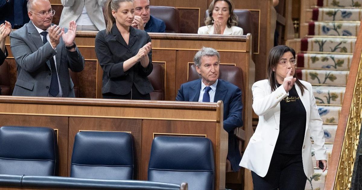 Ana <i>Vázquez</i>, más allá del episodio del gas pimienta: la ‘policía’ del PP abonada a la tertulia que...