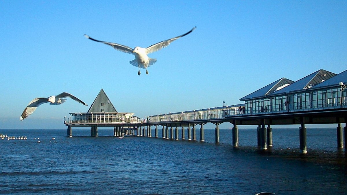 „Wir beißen uns nicht auf die Zunge“: Usedom-Urlauber zieht nach <i>AfD</i>-Wahlergebnis Konsequenzen