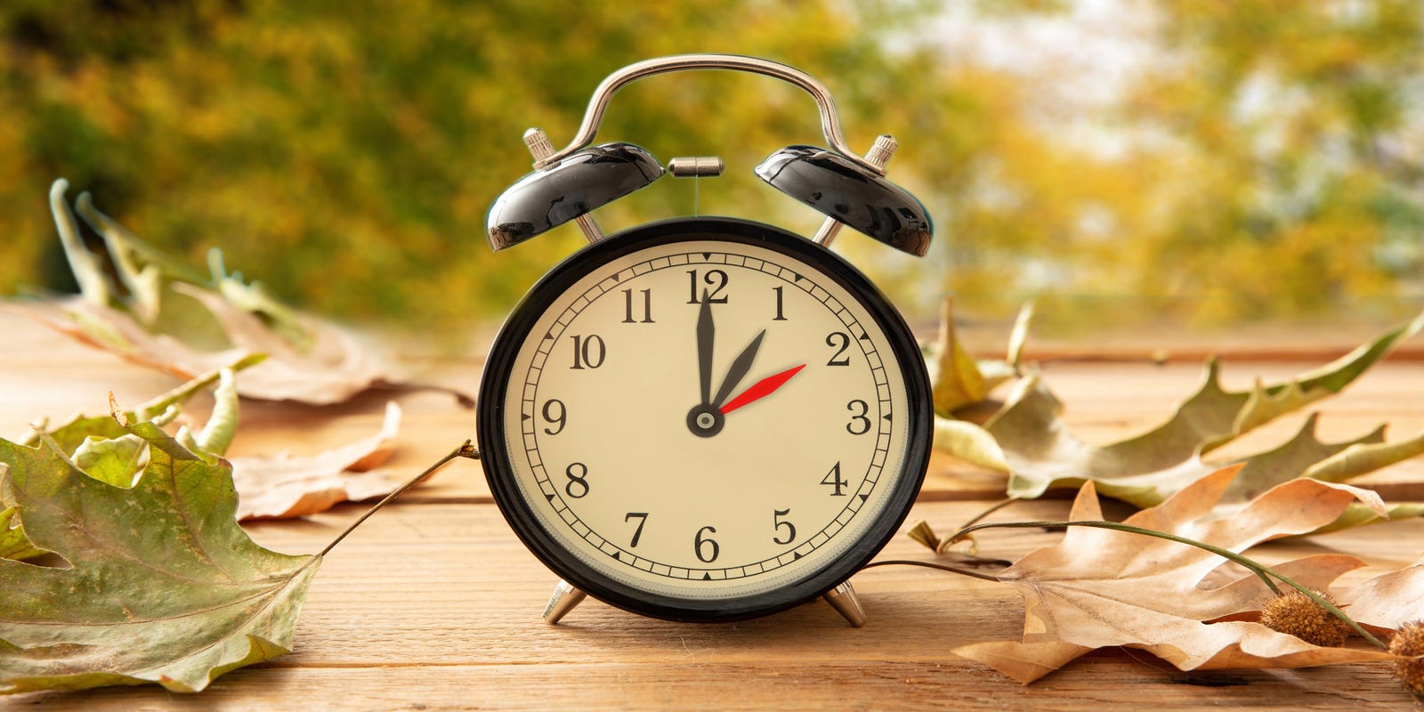 Will Tennessee change clocks for <i>daylight</i> saving time? These states don't want to fall back