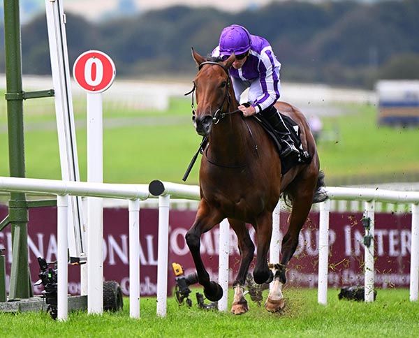 Sun <i>Goddess</i> passes ‘massive test’ to rule supreme in Cheveley Park