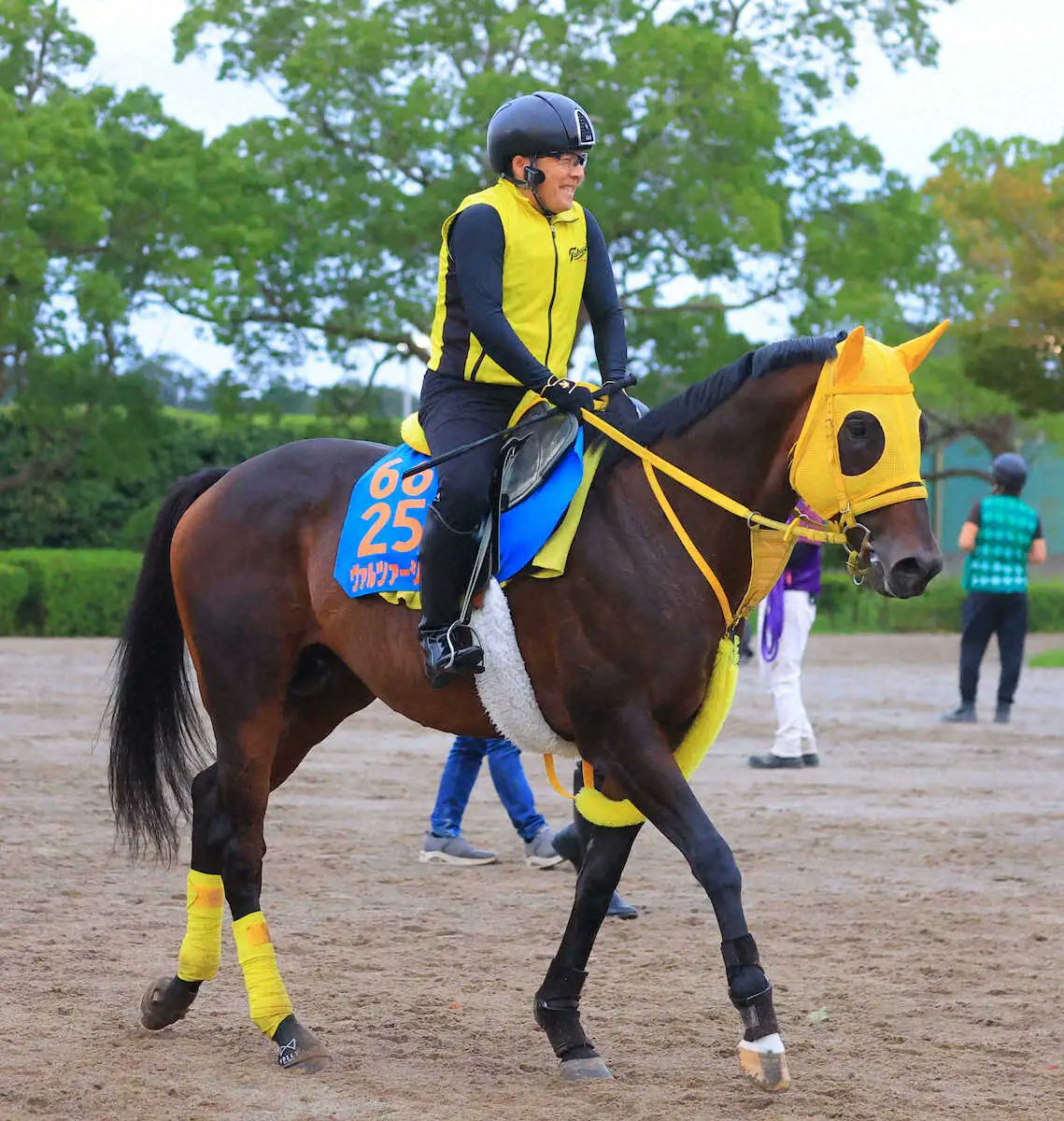 【<i>シリウスS</i>】ヴァルツァーシャルが重賞2勝目　1頭分を割ってパワフルに快勝 ― スポニチ競馬Web